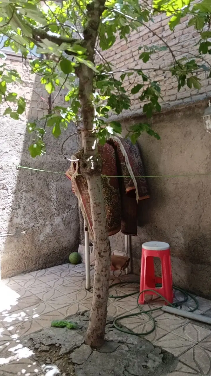اجاره اخرطالقانی