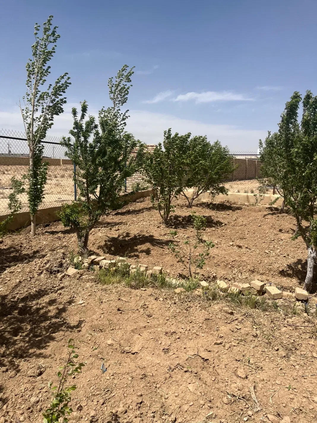 ۲۰۰۰ متر باغ میقان
