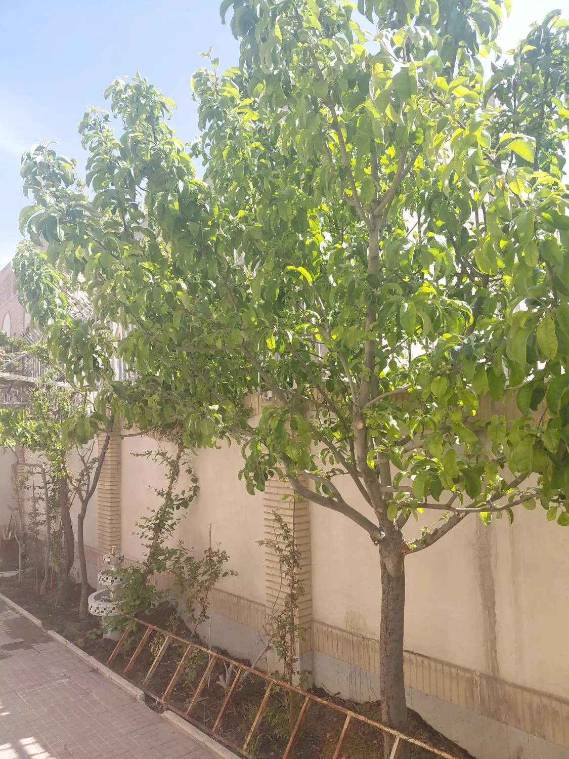فروش ویلایی دو کله ۲۵۶ متری