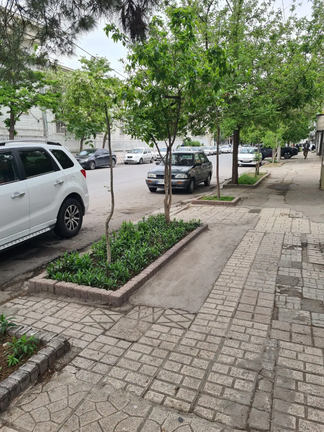 ویلایی پروین اعتصامی ۱۸ داخل کوچه شهرداری