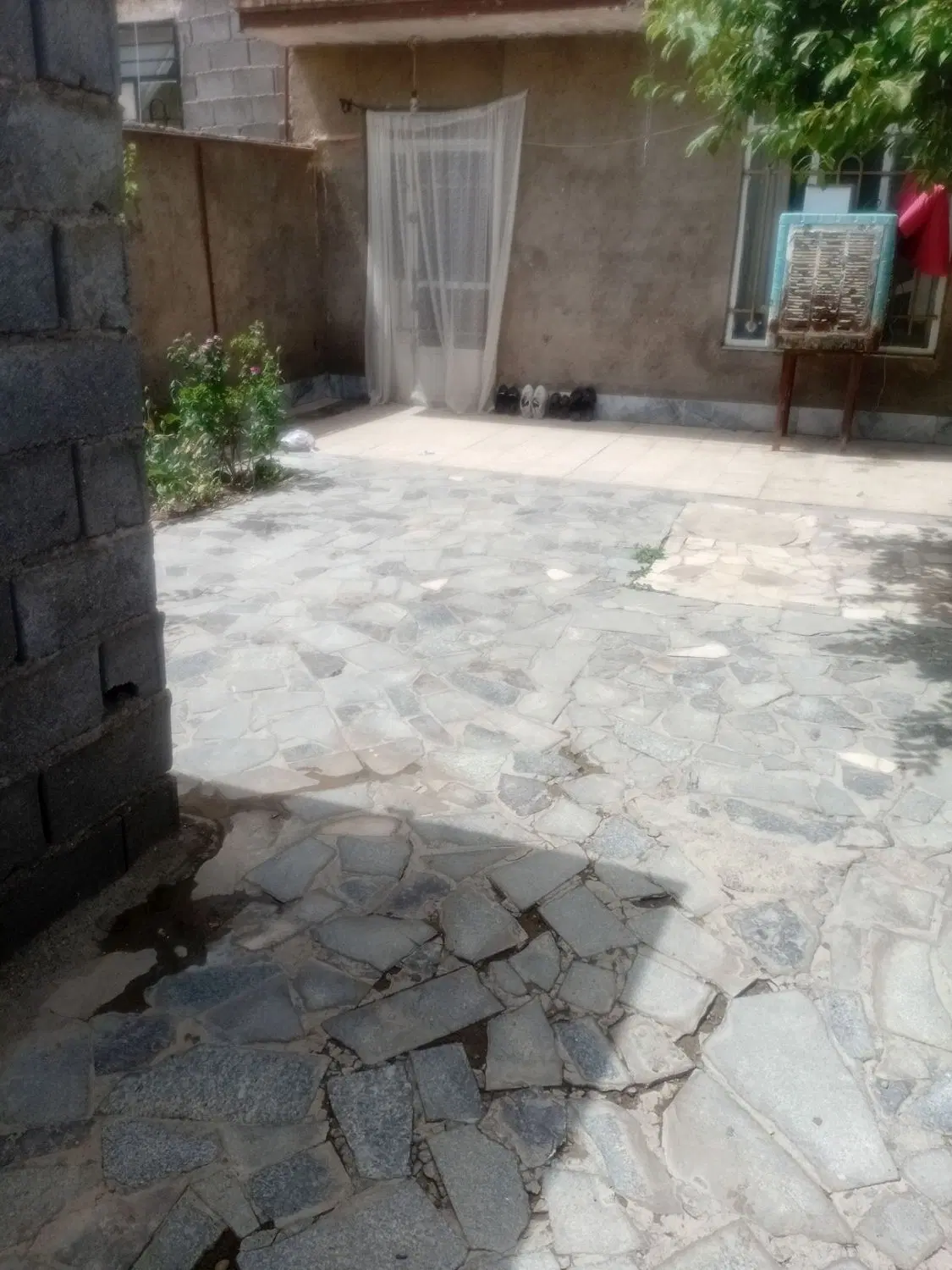 خانه‌ و باغ فروشی