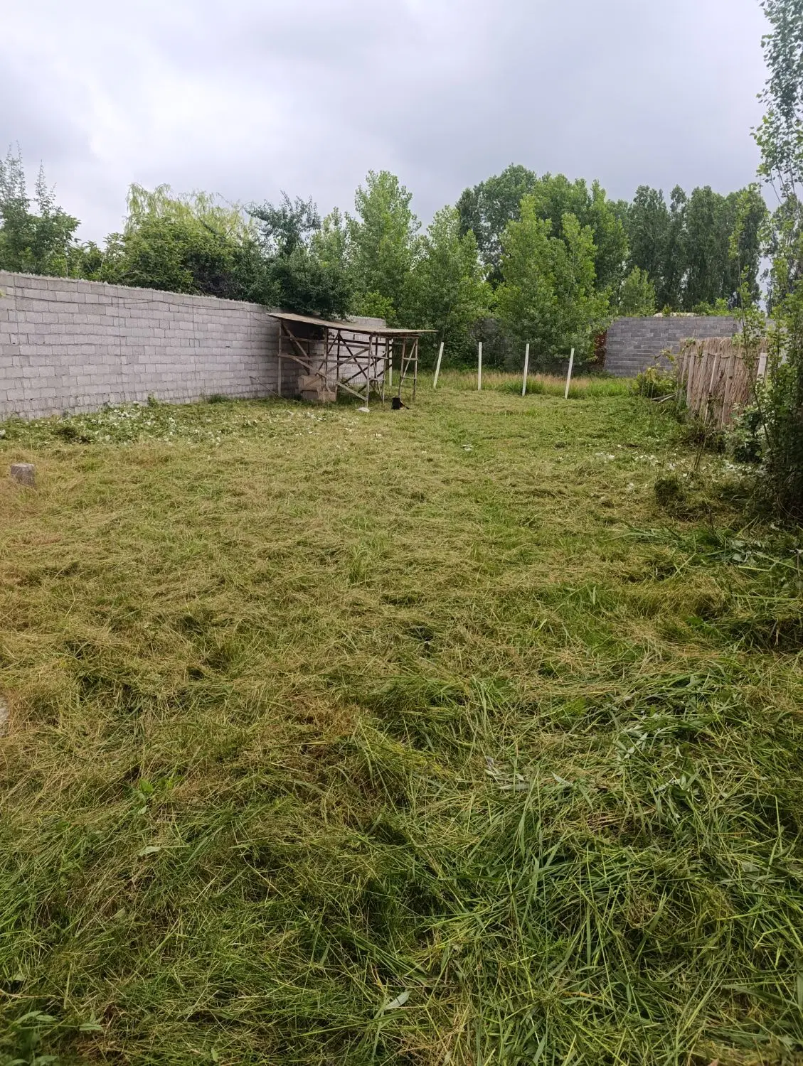 فروش زمین مسکونی در رشت