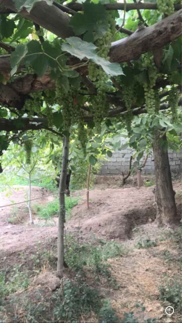 کوهسار کردان باغچه ۴۰۰متری ۴ دیواری