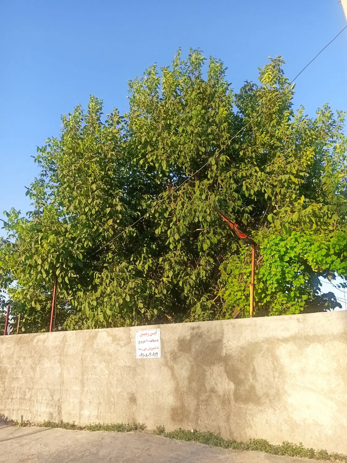فروش زمین ایلام سرطاف