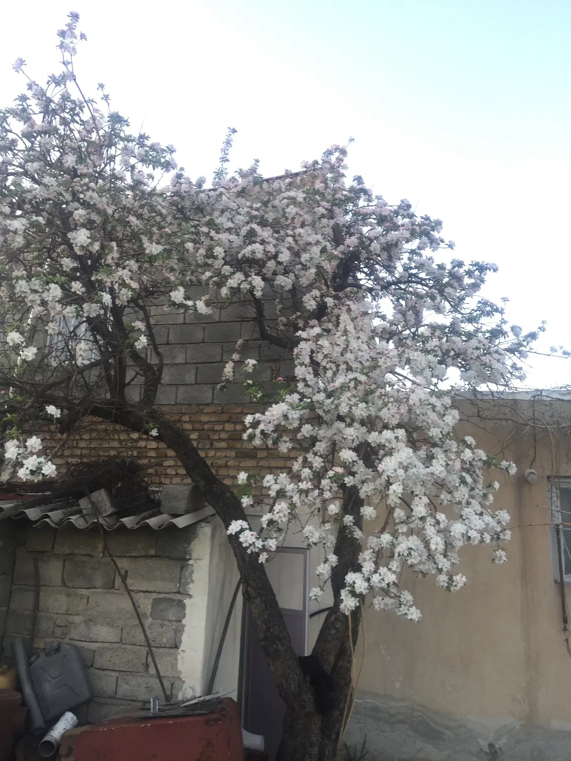 زمین داخل طرح هادی ۶۰۰ متر مربع