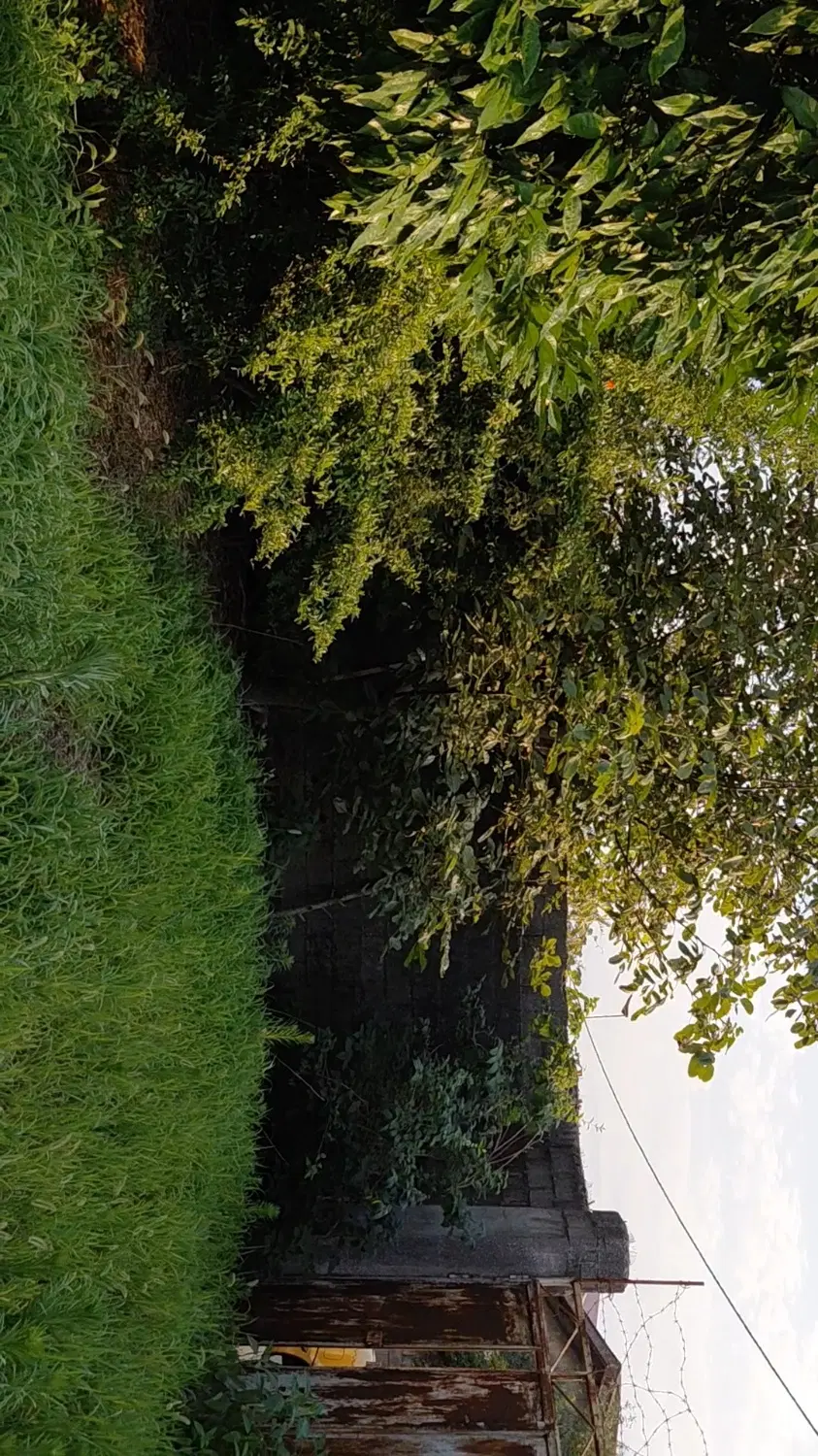 فروش زمین