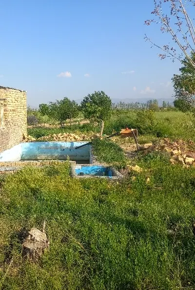 زمین کشاورزی