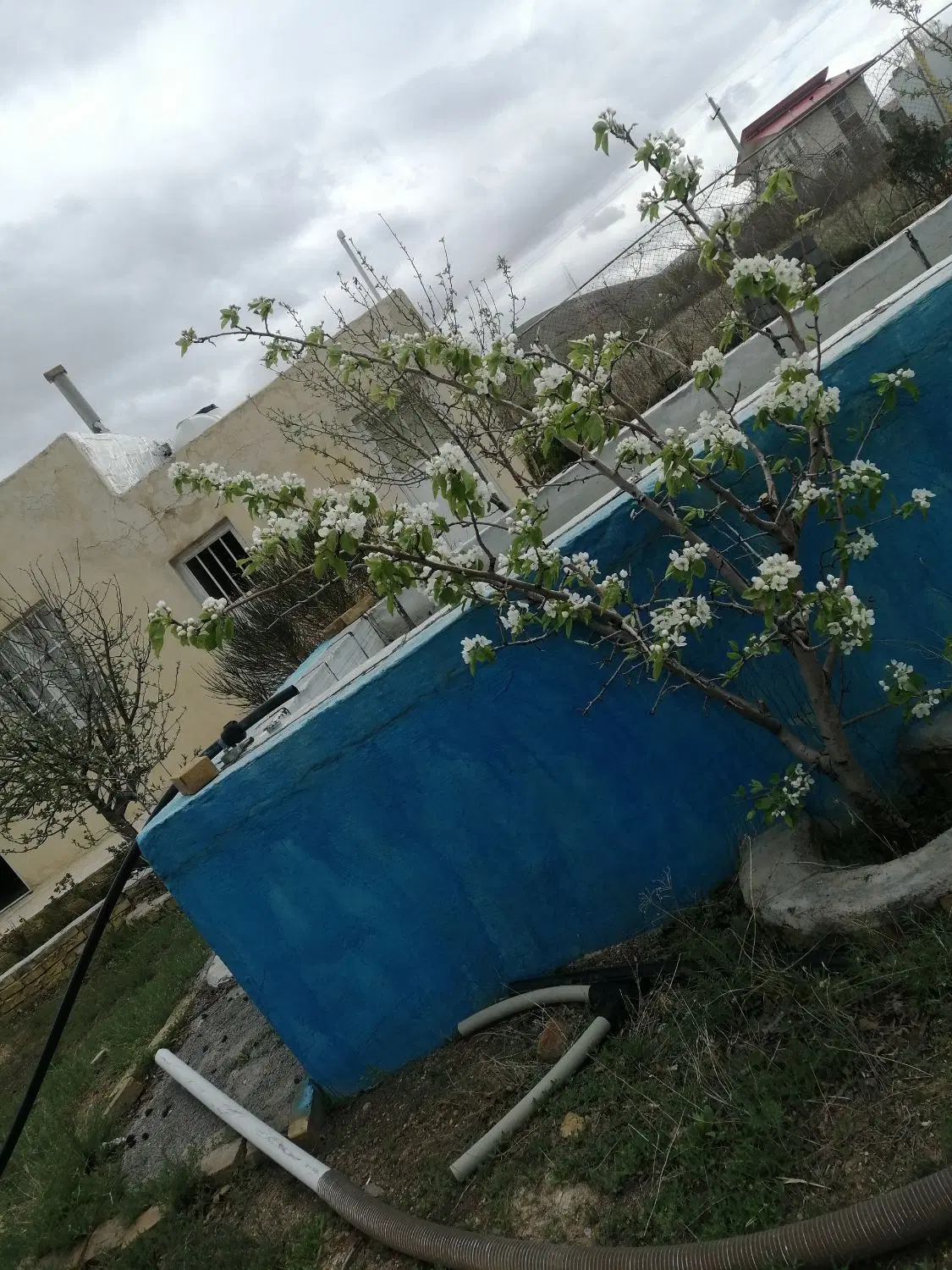 باغشهر علوم پزشکی