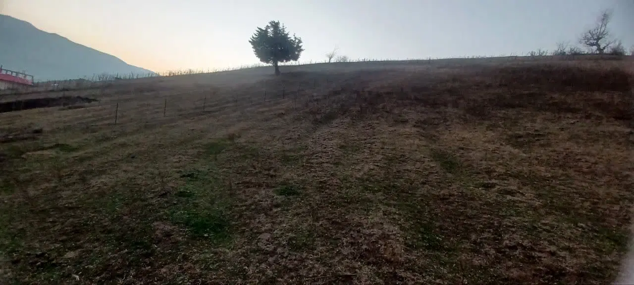 زمین مسکونی