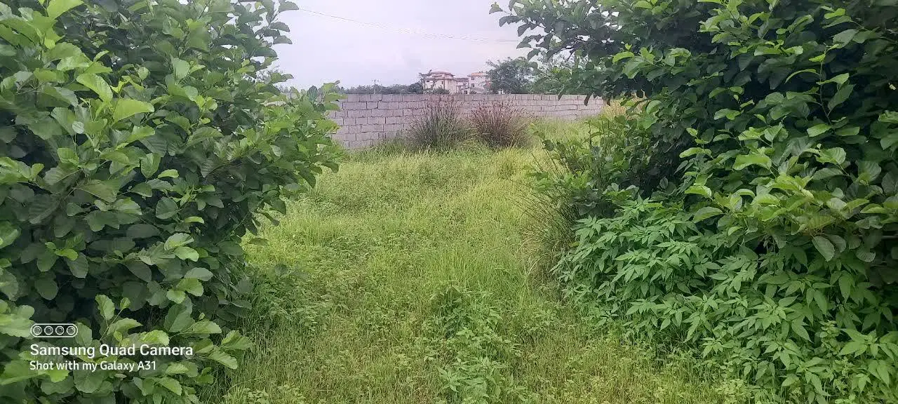 زمین باغی