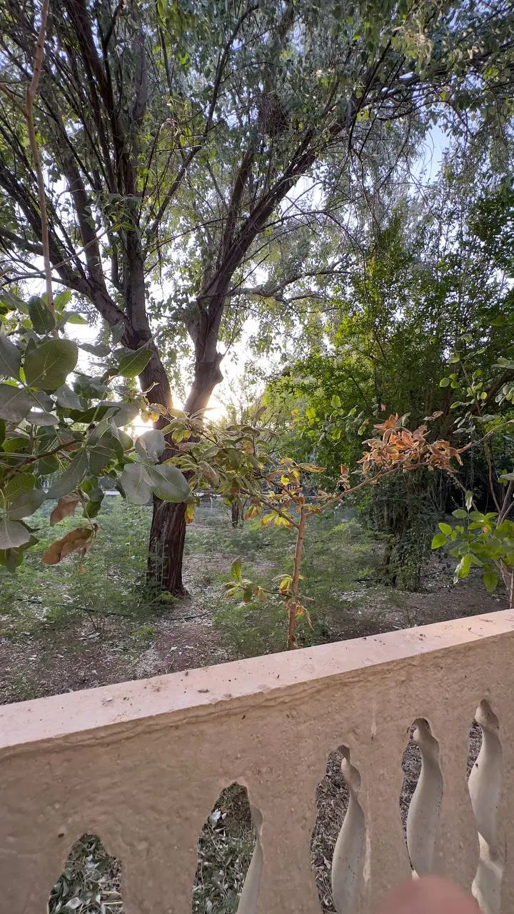 باغ ویلایی