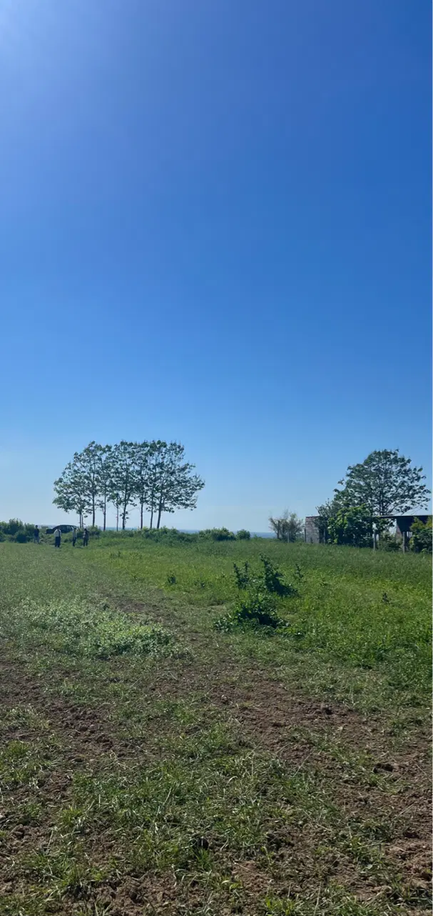 ۶۳۵زمین باغی در روستای سدن