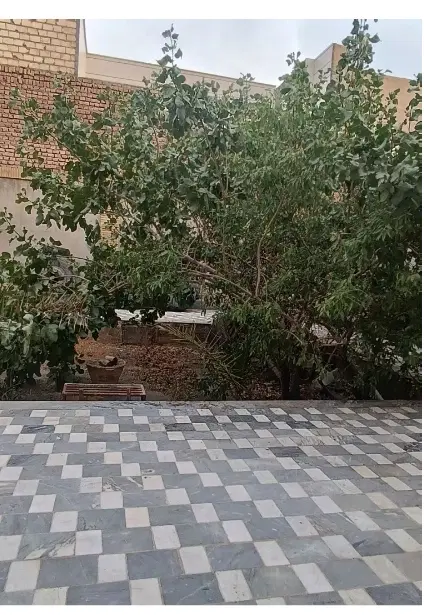 سوییت شبانه روزی