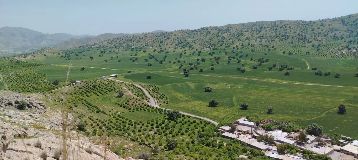 زمین مسکونی گنجه ای کهنه