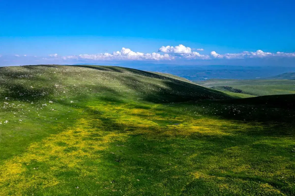 فروش زمین نقنه