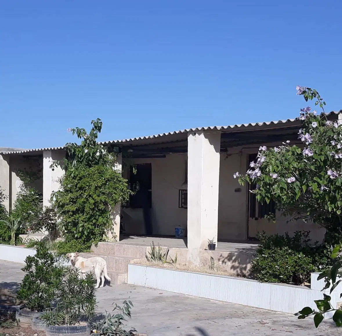 فروش زمین