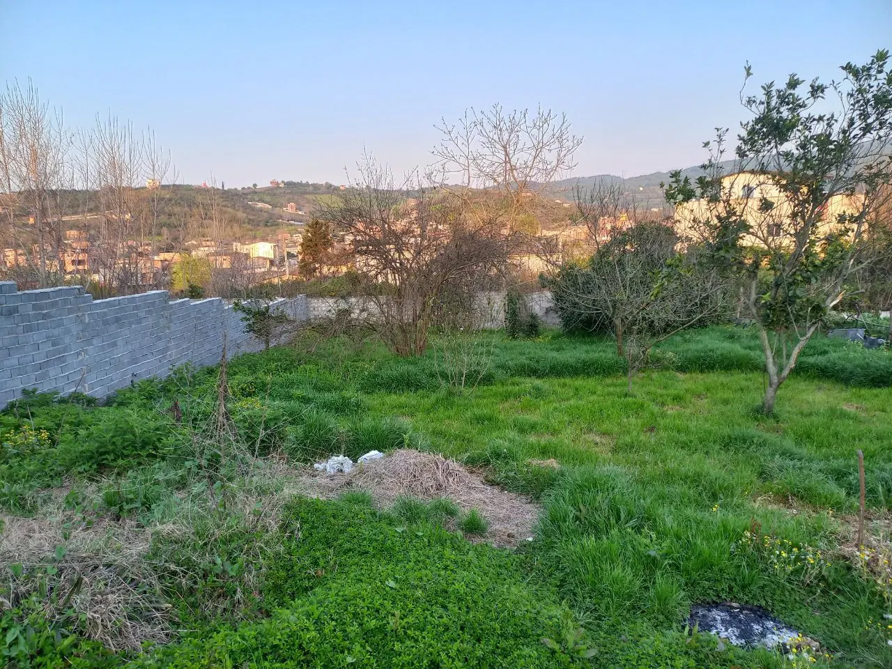 زمین مسکونی