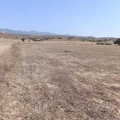 فروش زمین مسکونی زرگران رامجرد