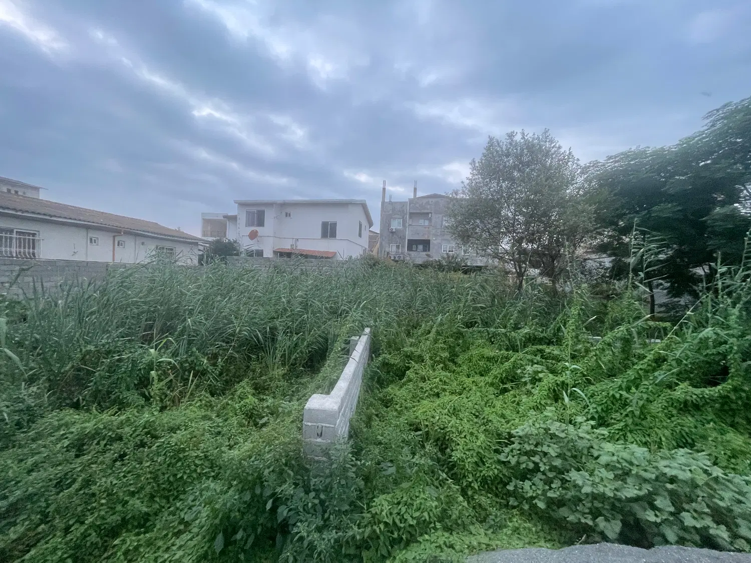 زمین ۵۴۰ متری خیابان سعدی