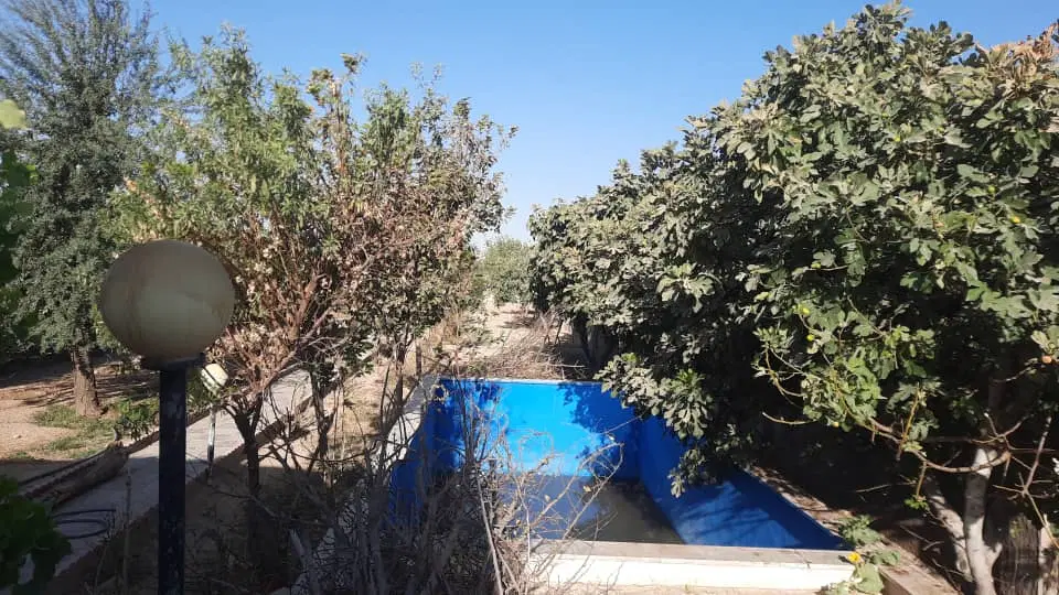 باغ