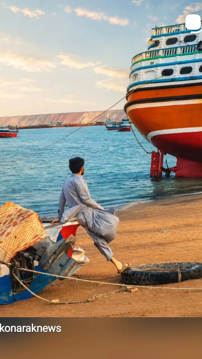 زمین آخر تیس‌کنار باغ ها قیمت هرچی نرخ بازار