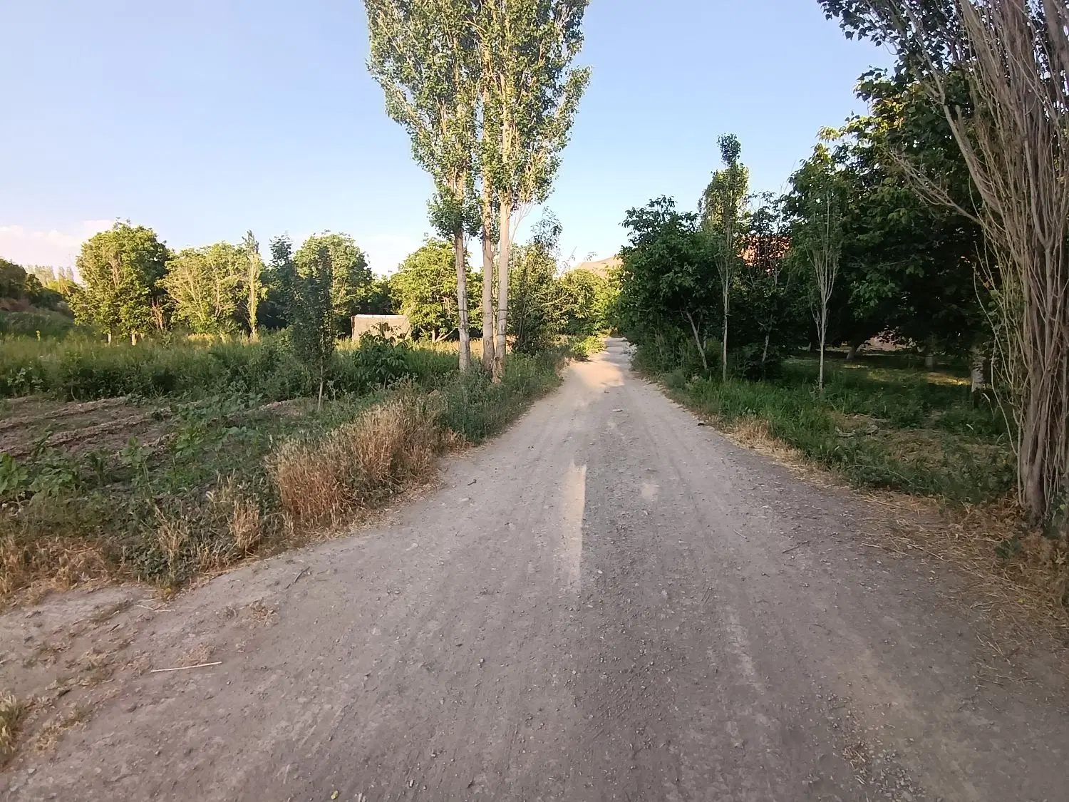 باغ در روستای سرسبز دربند