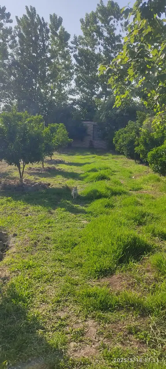 فروش باغ ،مکانی بسیار آرامش بخش