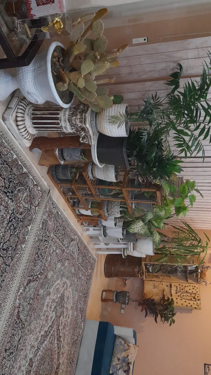 هم خانه