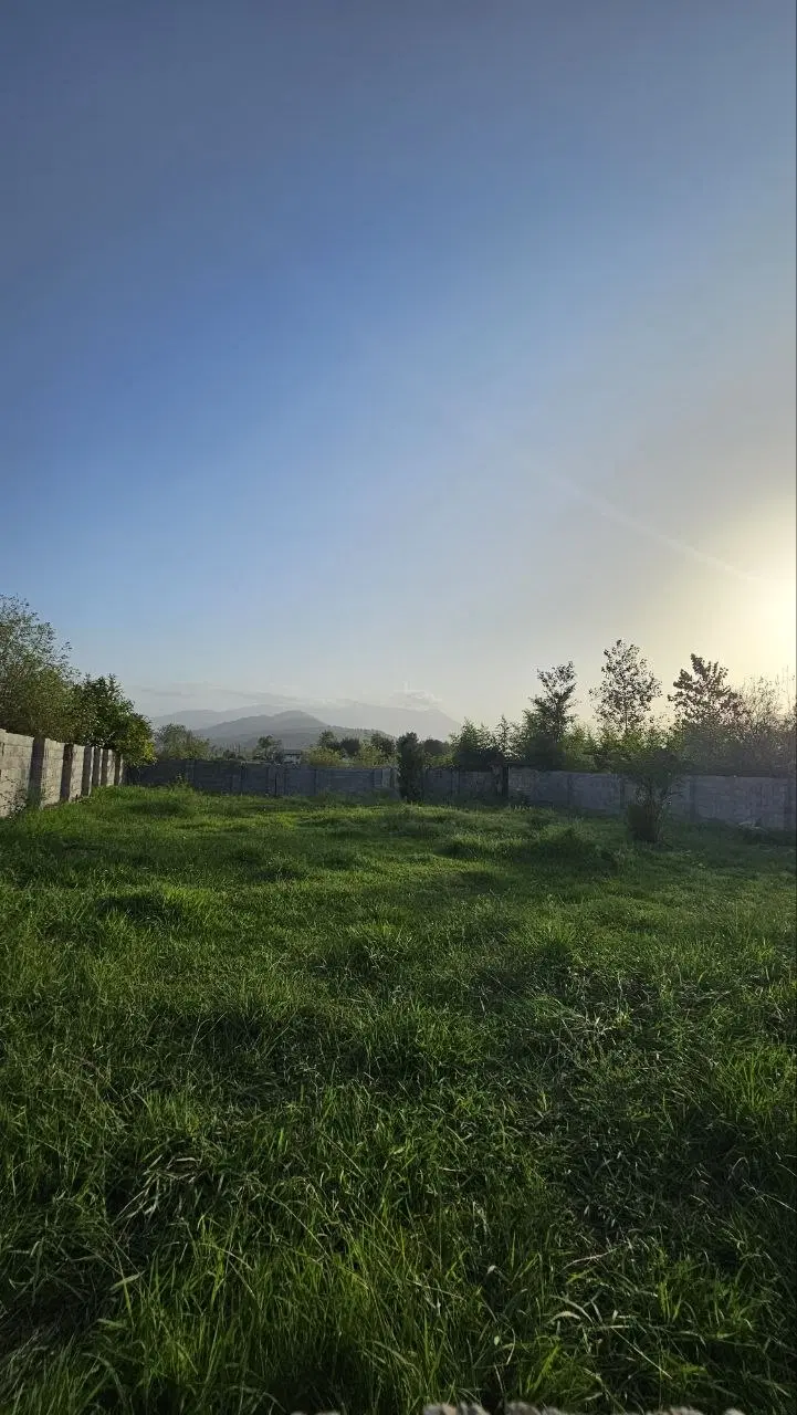 زمین