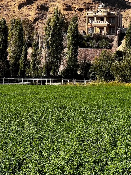 ویلا ویوی استثنای ، مجموعه سوارکاری کلیه امکانات