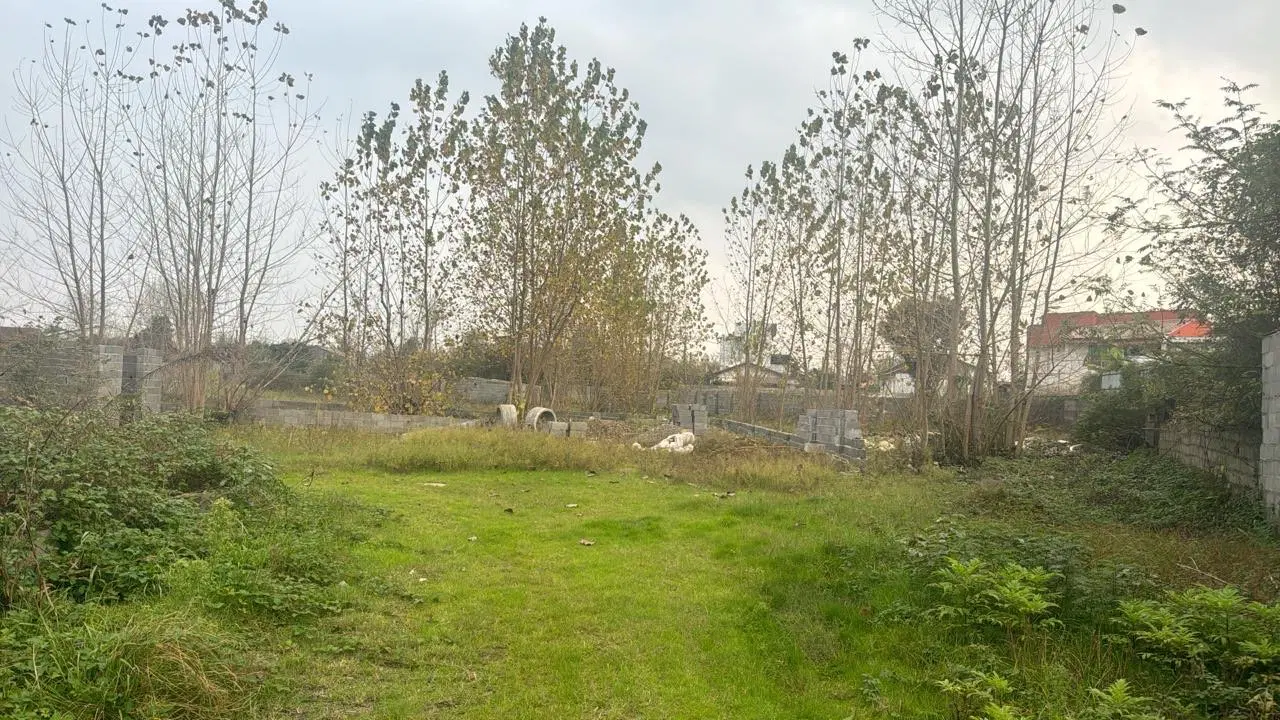 فروش زمین ساحلی
