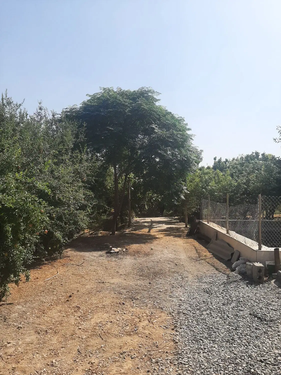 باغ ۲۰۰۰ متری