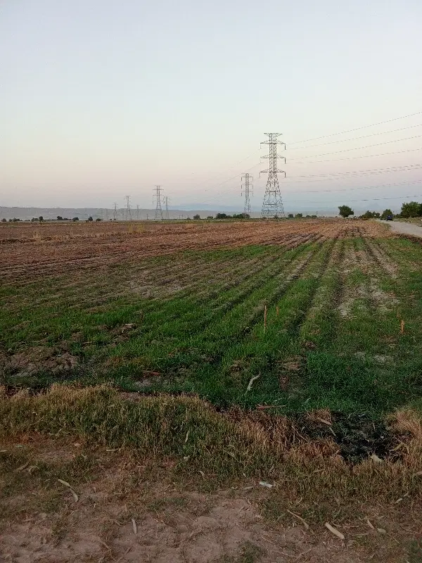 زمین اجاره ای