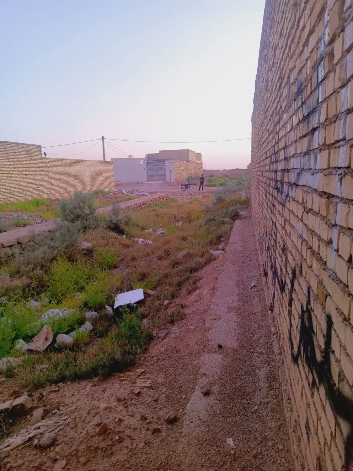زمین