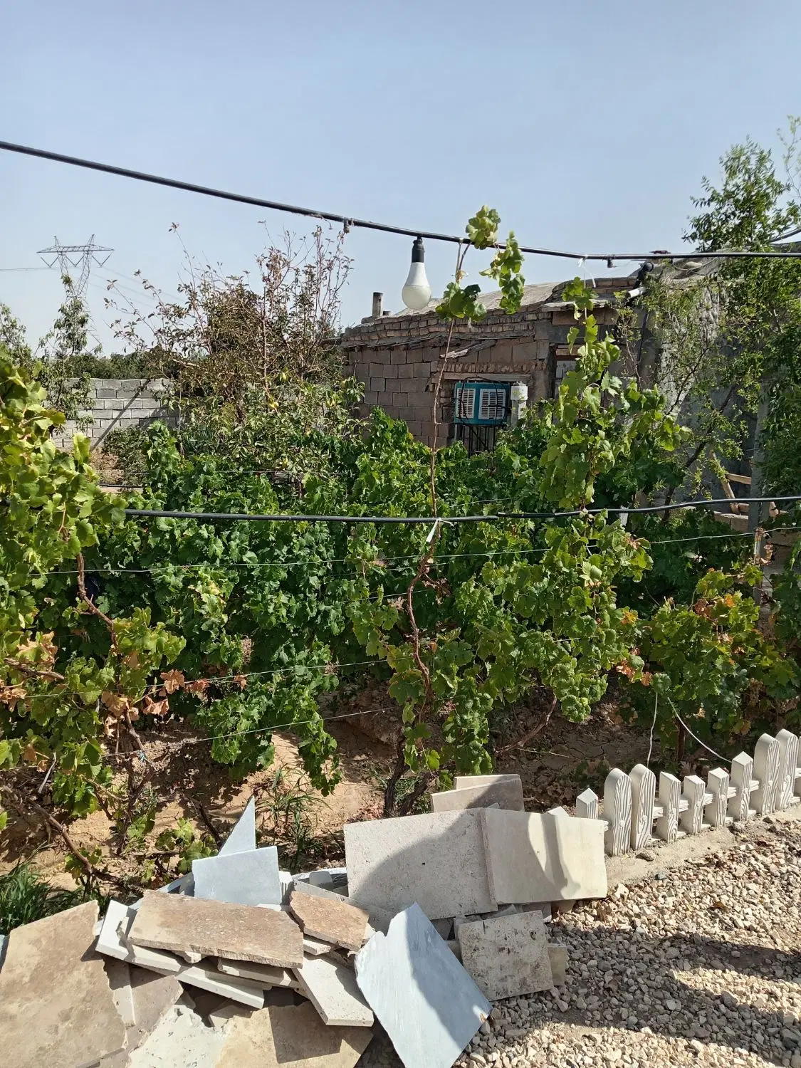 باغ فروشی