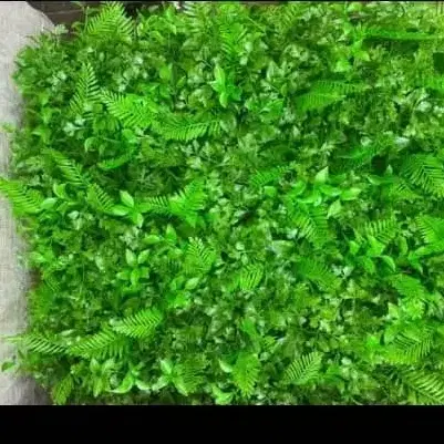باغ 800متری قلعه سفید