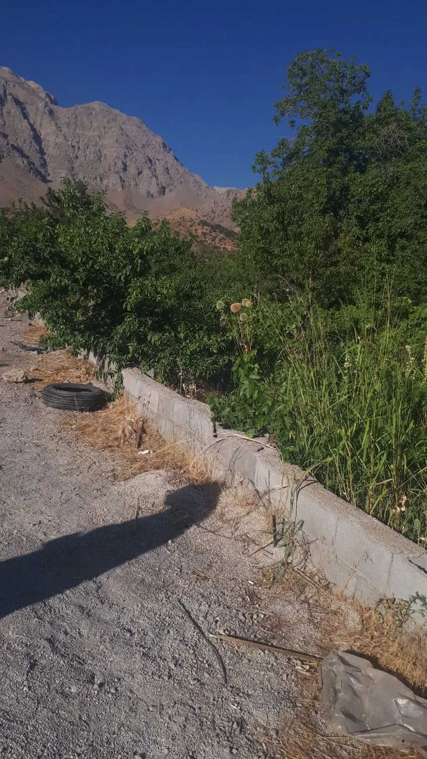 معامله امن