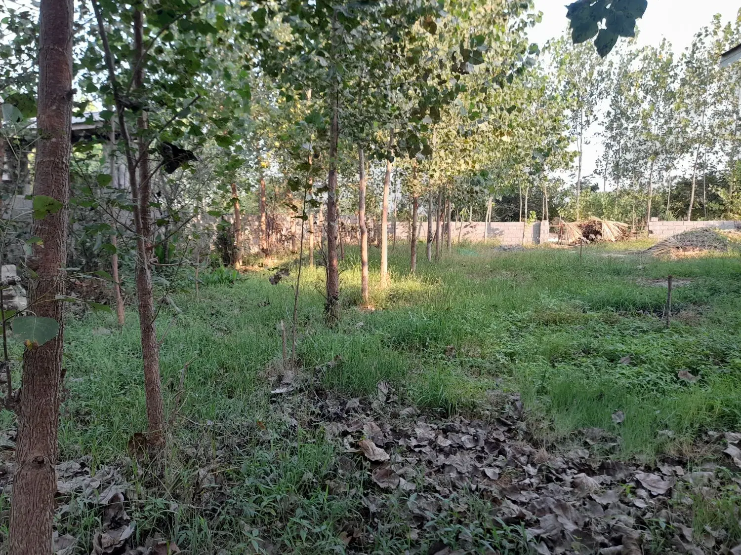 مسکونی