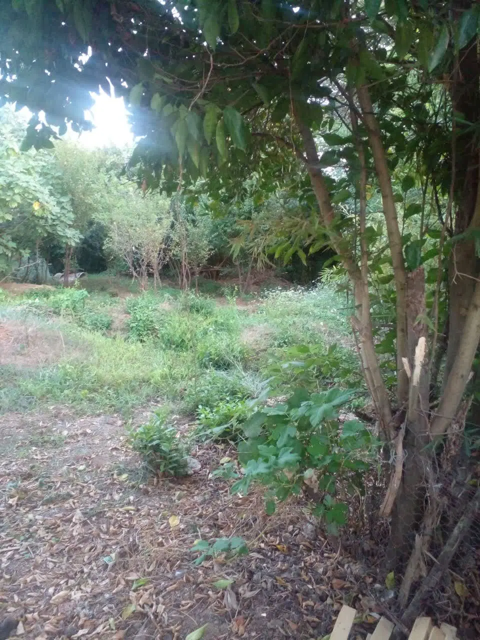 فروش زمین با کاربری مسکونی به متراژ 300متر