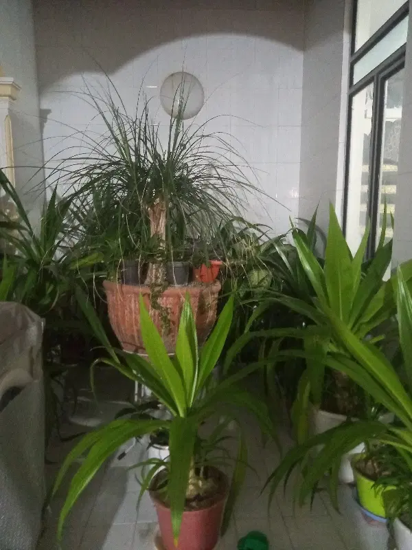 رهن واجاره منزل