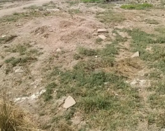 زمین مسکونی دونبش