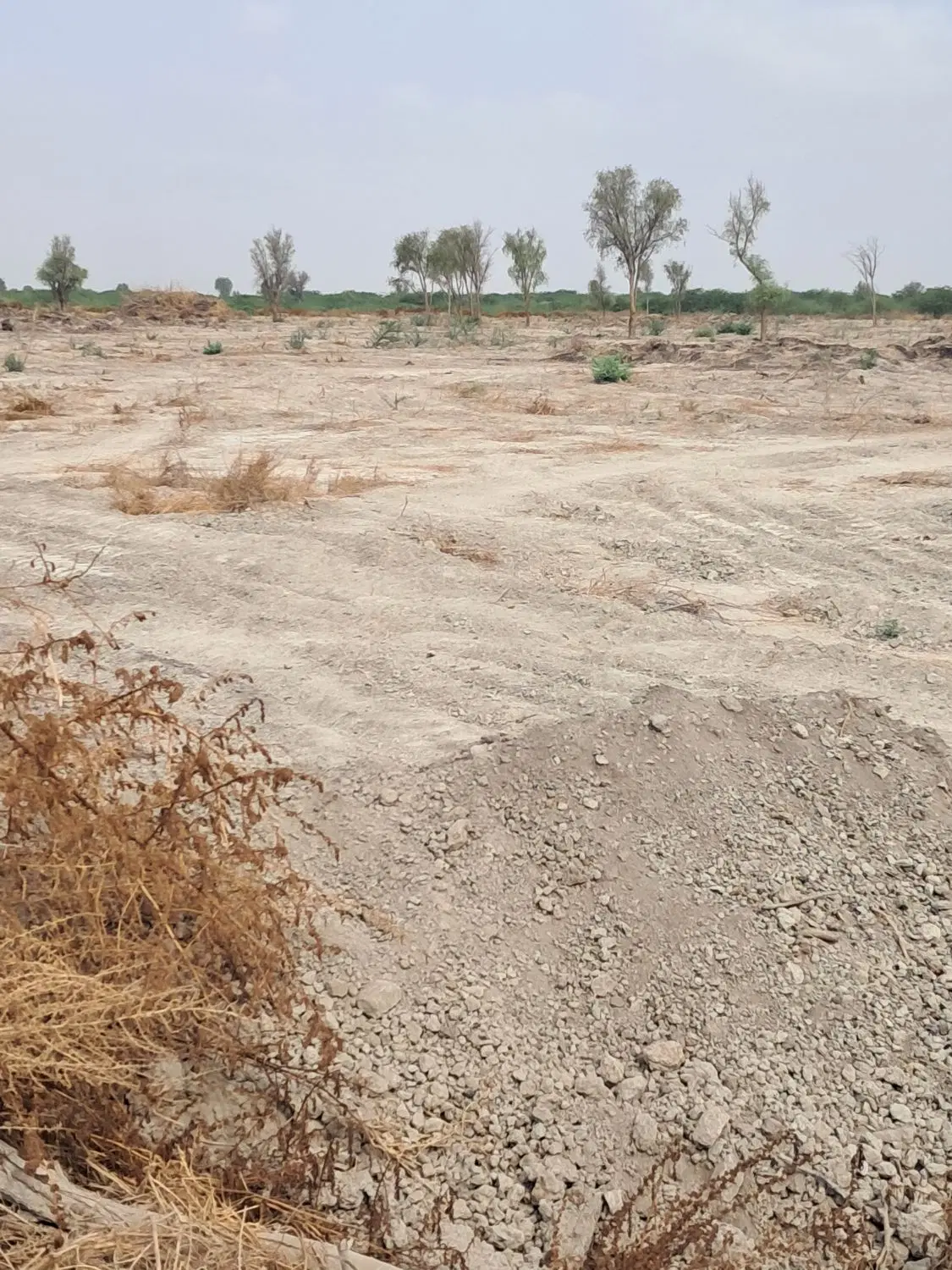 آگهی فروش زمین