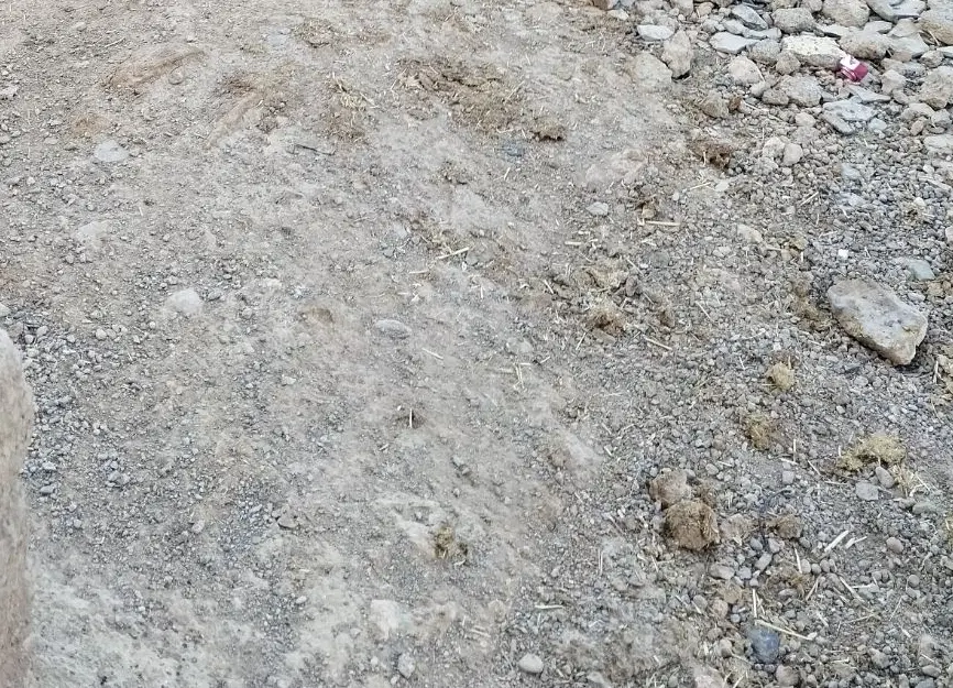زمین گاو خونه