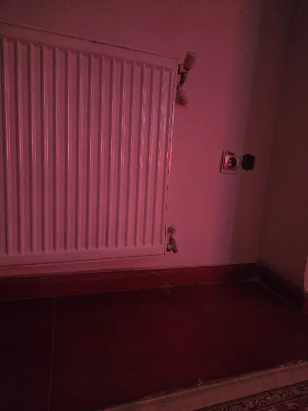 رهو واجاره