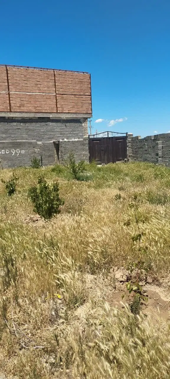 باغ در علیشاه