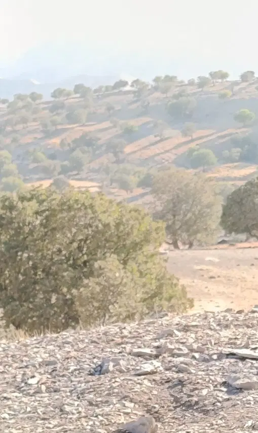 زمین پشت تپه شنی