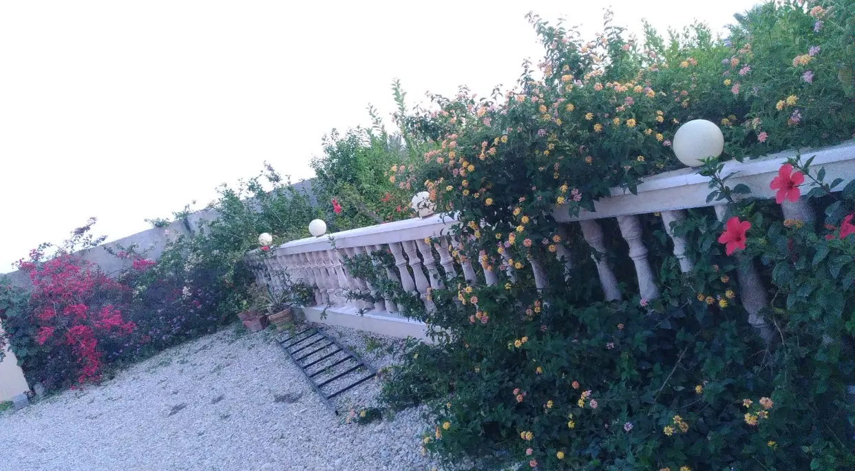 باغ روستای محمدصالحی