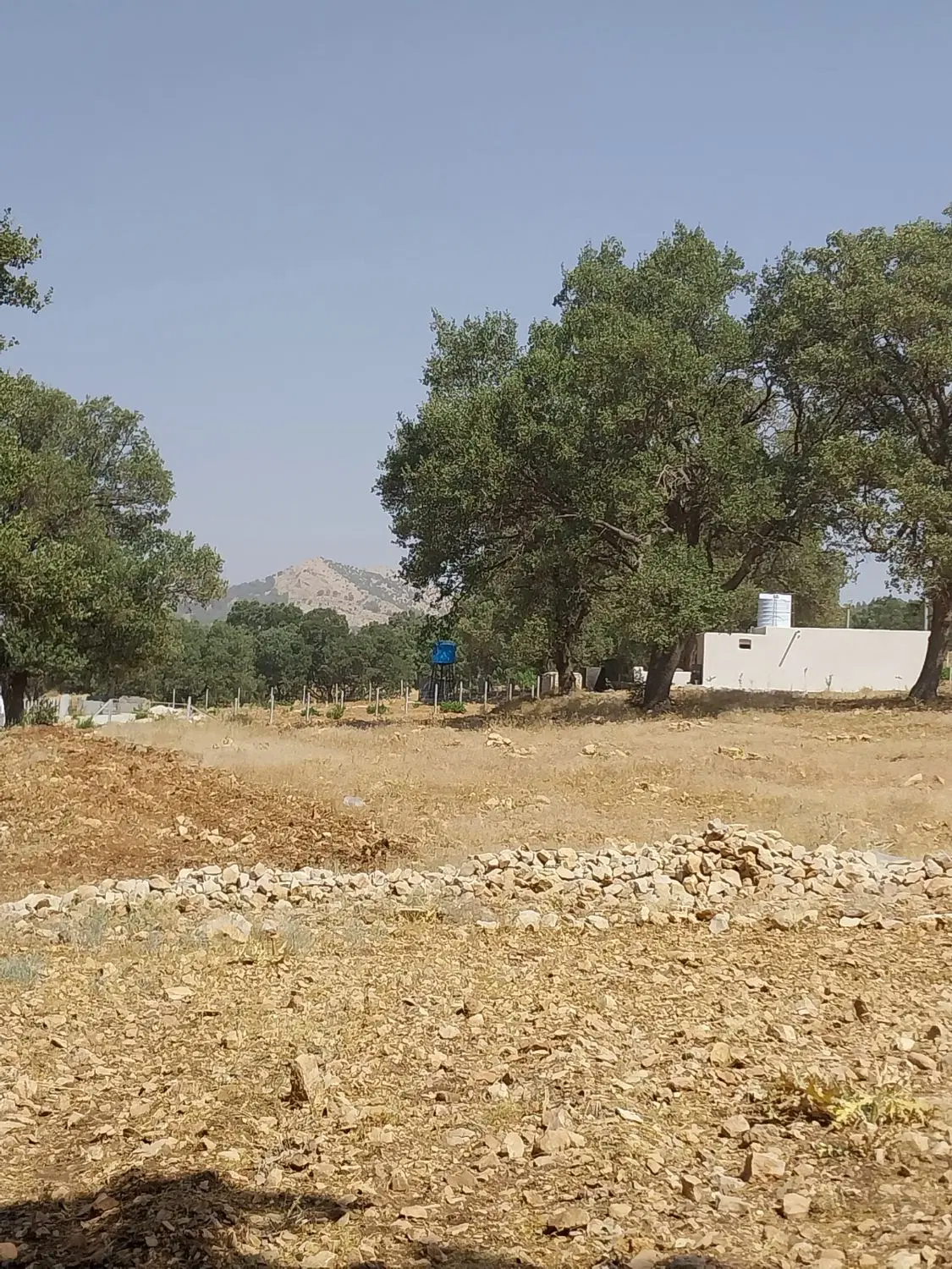زمین باغچه