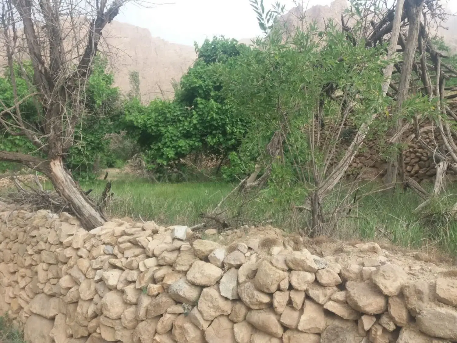 فروش زمین کشاورزی بنادک سادات