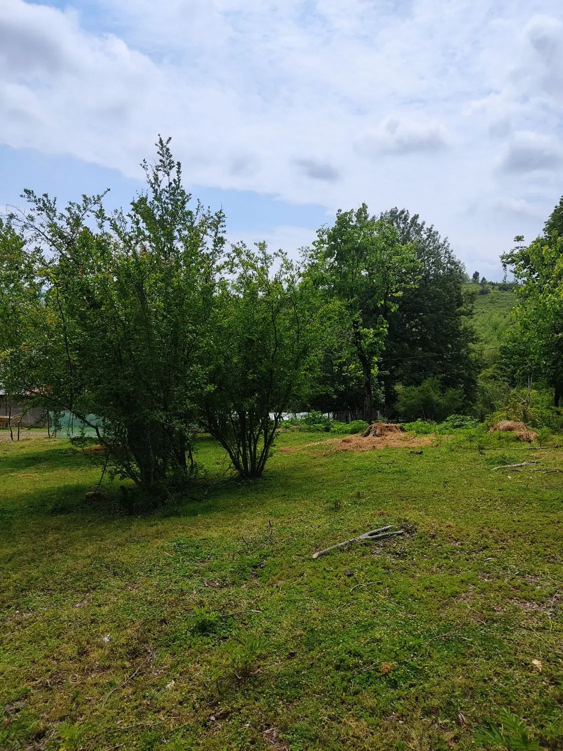 زمین و خانه کلنگی در جای دنج